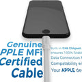 iVoltaa Zeus MFi Certified Lightning Cable - (3.3 Feet - 1M)